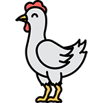 chicken name generator
