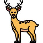 deer name generator