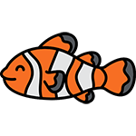 fish name generator