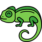 lizard name generator
