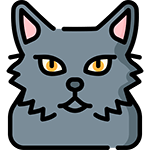 warrior cat name generator