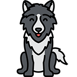 wolf name generator
