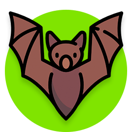 bat name